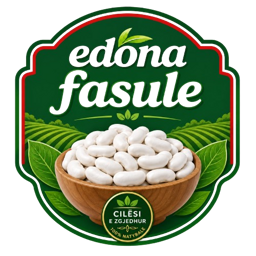 Edona Fasule